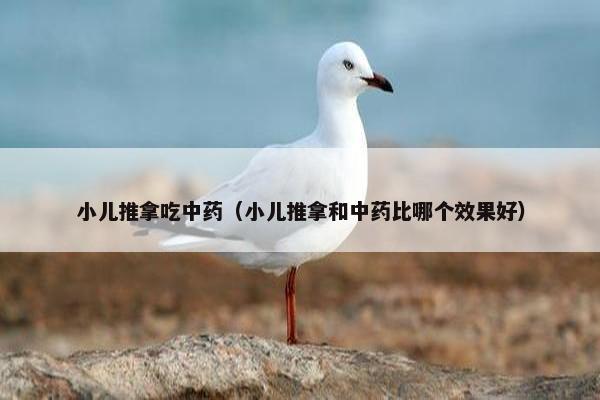 小儿推拿吃中药（小儿推拿和中药比哪个效果好）