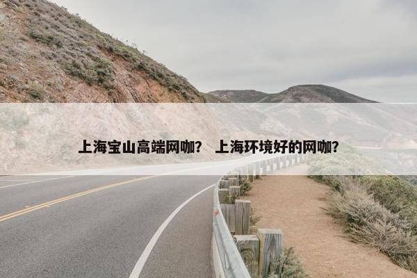 上海宝山高端网咖？ 上海环境好的网咖？