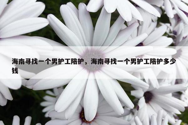 海南寻找一个男护工陪护，海南寻找一个男护工陪护多少钱