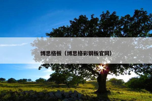 博思格板（博思格彩钢板官网）