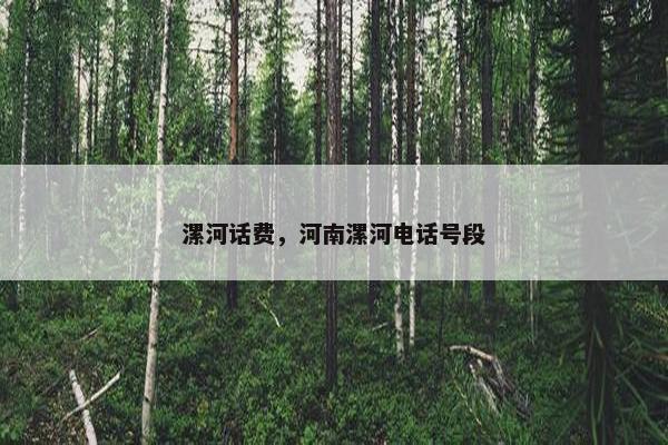 漯河话费，河南漯河电话号段