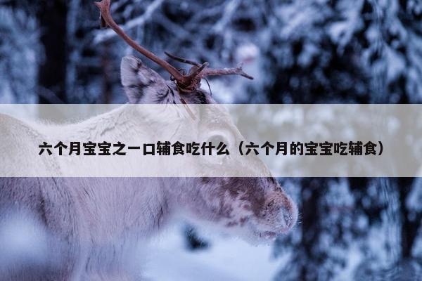 六个月宝宝之一口辅食吃什么（六个月的宝宝吃辅食）