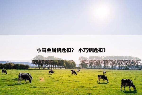 小马金属钥匙扣？ 小巧钥匙扣？