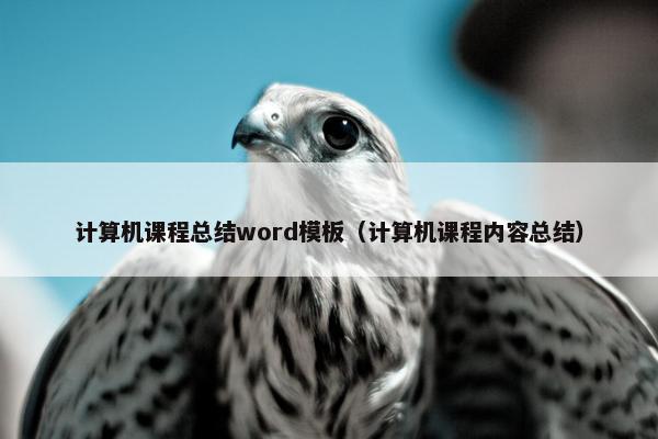 计算机课程总结word模板（计算机课程内容总结）
