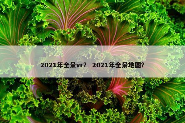 2021年全景vr？ 2021年全景地图？