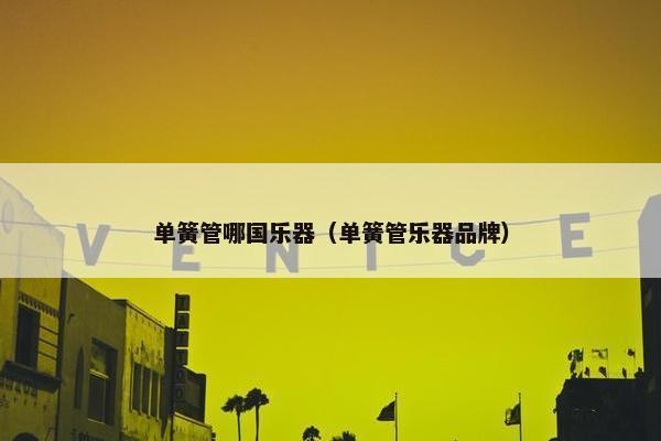 单簧管哪国乐器（单簧管乐器品牌）