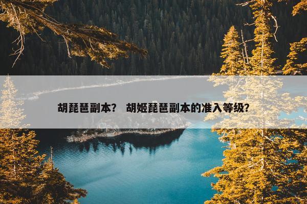 胡琵琶副本？ 胡姬琵琶副本的准入等级？