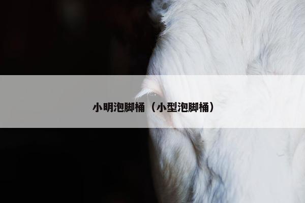 小明泡脚桶（小型泡脚桶）
