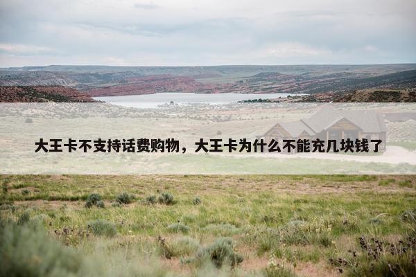 大王卡不支持话费购物，大王卡为什么不能充几块钱了