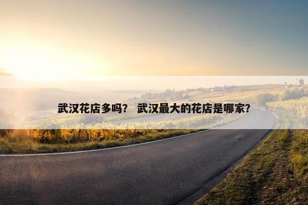 武汉花店多吗？ 武汉最大的花店是哪家？