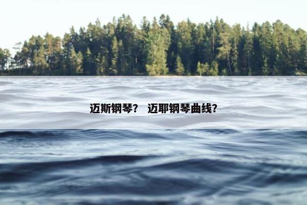 迈斯钢琴？ 迈耶钢琴曲线？