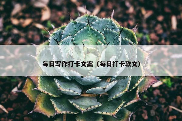 每日写作打卡文案（每日打卡软文）