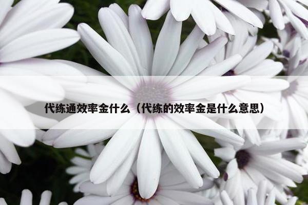 代练通效率金什么（代练的效率金是什么意思）