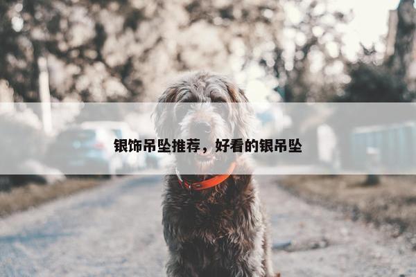 银饰吊坠推荐，好看的银吊坠