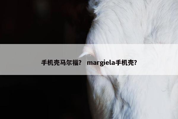 手机壳马尔福？ margiela手机壳？