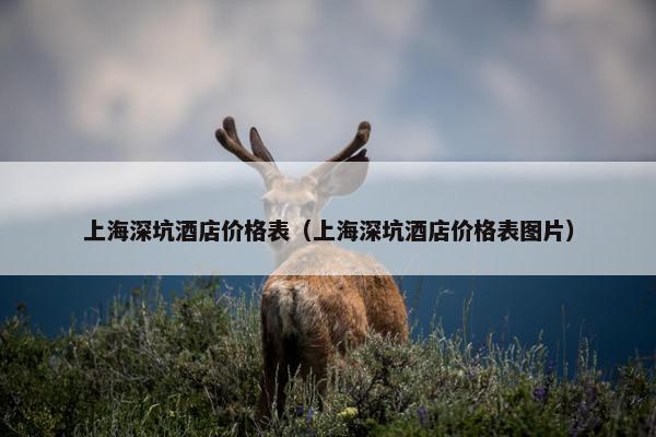 上海深坑酒店价格表（上海深坑酒店价格表图片）