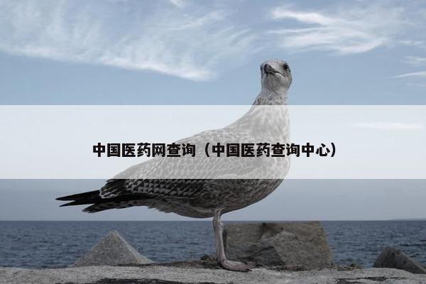 中国医药网查询（中国医药查询中心）