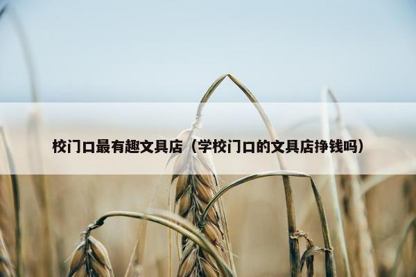 校门口最有趣文具店（学校门口的文具店挣钱吗）