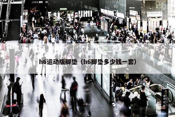 h6运动版脚垫（h6脚垫多少钱一套）