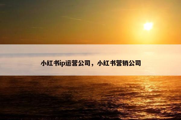 小红书ip运营公司，小红书营销公司