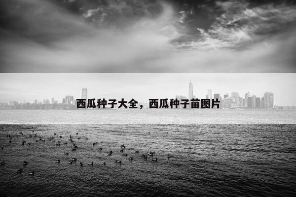 西瓜种子大全，西瓜种子苗图片