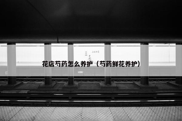 花店芍药怎么养护（芍药鲜花养护）