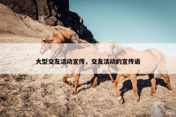 大型交友活动宣传，交友活动的宣传语