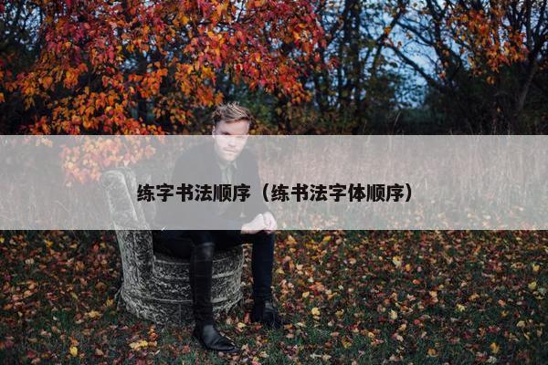 练字书法顺序（练书法字体顺序）