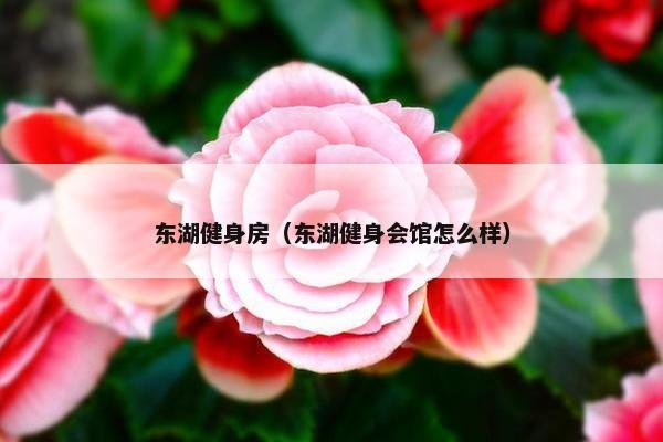 东湖健身房（东湖健身会馆怎么样）