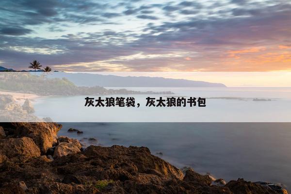 灰太狼笔袋，灰太狼的书包