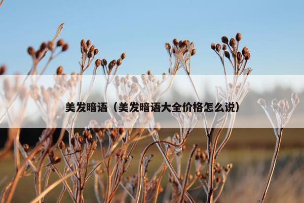 美发暗语（美发暗语大全价格怎么说）
