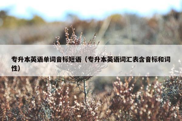 专升本英语单词音标短语（专升本英语词汇表含音标和词性）