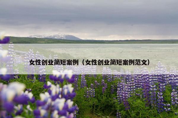 女性创业简短案例（女性创业简短案例范文）