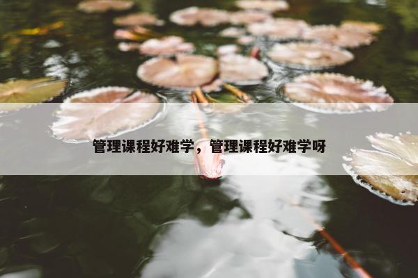 管理课程好难学，管理课程好难学呀