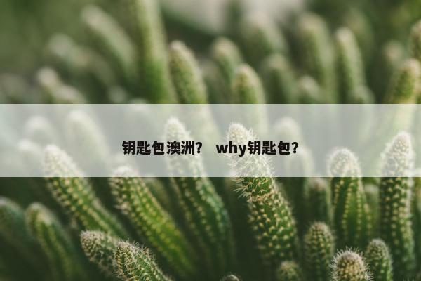 钥匙包澳洲？ why钥匙包？