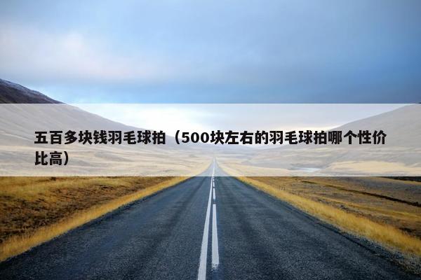 五百多块钱羽毛球拍（500块左右的羽毛球拍哪个性价比高）