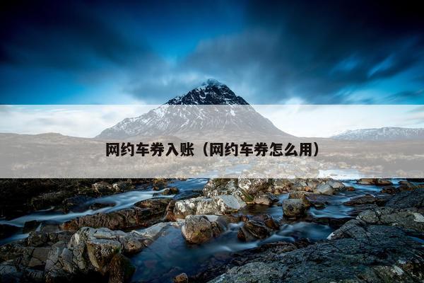 网约车券入账（网约车券怎么用）