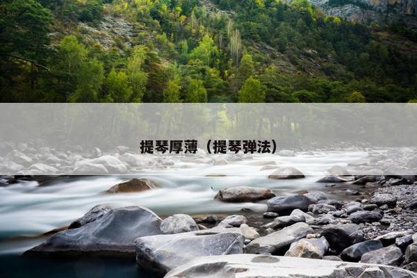 提琴厚薄（提琴弹法）