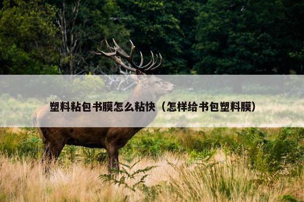 塑料粘包书膜怎么粘快（怎样给书包塑料膜）