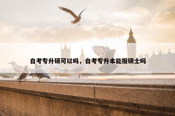 自考专升硕可以吗，自考专升本能报硕士吗