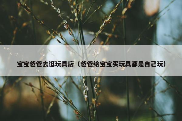 宝宝爸爸去逛玩具店(爸爸给宝宝买玩具都是自己玩) 宝宝爸爸去逛玩具店(爸爸给宝宝买玩具都是自己玩)