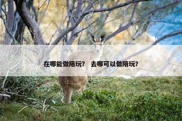 在哪能做陪玩? 去哪可以做陪玩? 在哪能做陪玩? 去哪可以做陪玩?