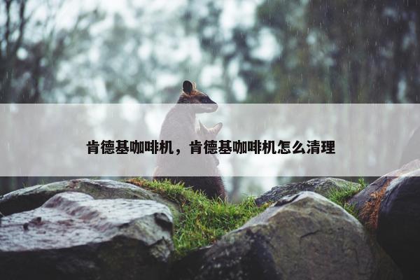 肯德基咖啡机,肯德基咖啡机怎么清理 肯德基咖啡机,肯德基咖啡机怎么清理