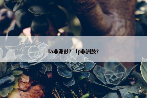 la非洲鼓? lp非洲鼓? la非洲鼓? lp非洲鼓?