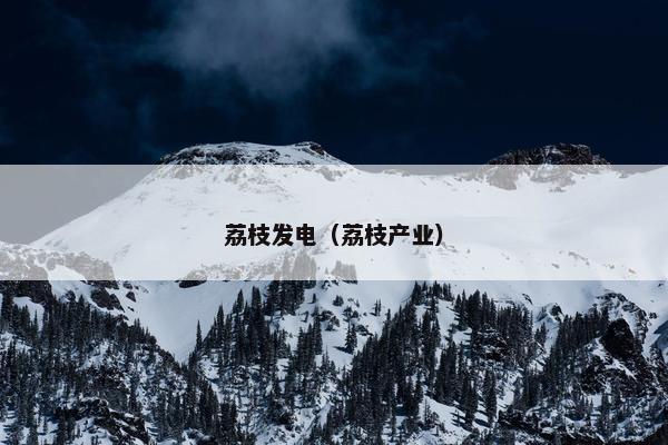 荔枝发电(荔枝产业) 荔枝发电(荔枝产业)