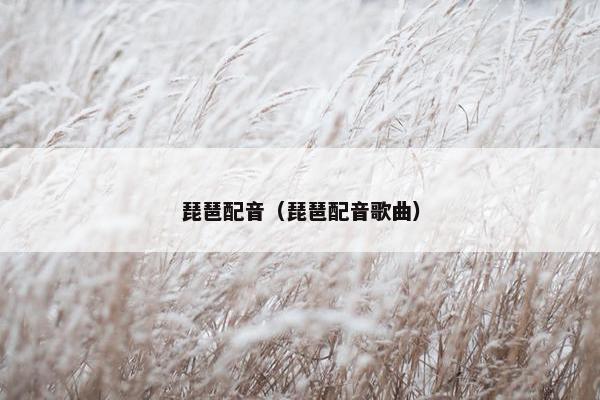 琵琶配音(琵琶配音歌曲) 琵琶配音(琵琶配音歌曲)