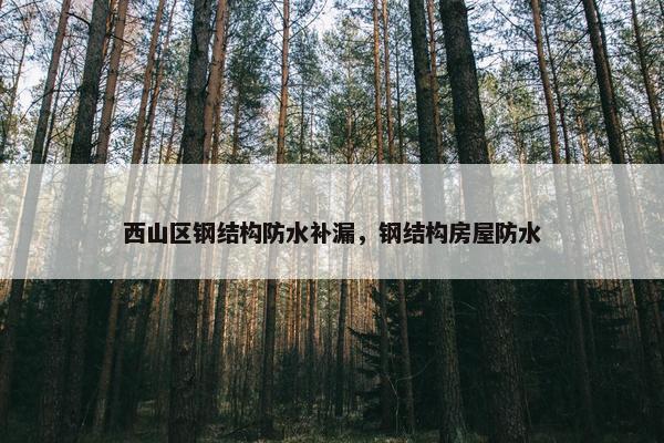 西山区钢结构防水补漏,钢结构房屋防水 西山区钢结构防水补漏,钢结构房屋防水