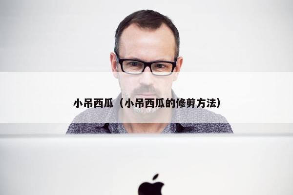 小吊西瓜(小吊西瓜的修剪方法) 小吊西瓜(小吊西瓜的修剪方法)