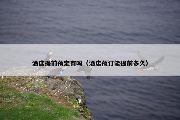 酒店提前预定有吗(酒店预订能提前多久) 酒店提前预定有吗(酒店预订能提前多久)