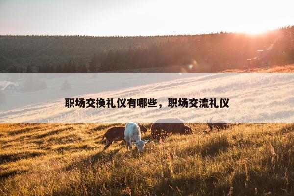 职场交换礼仪有哪些，职场交流礼仪
